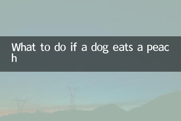 O que fazer se um cachorro comer um pêssego