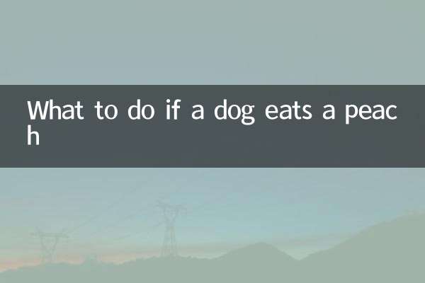 Que faire si un chien mange une pêche