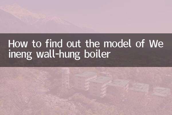 Como descobrir o modelo da caldeira suspensa Weineng