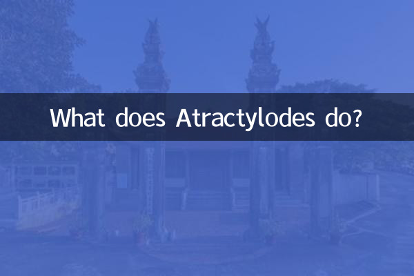 Que fait Atractylodes ?