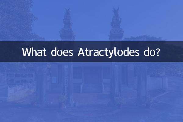 Que fait Atractylodes ?