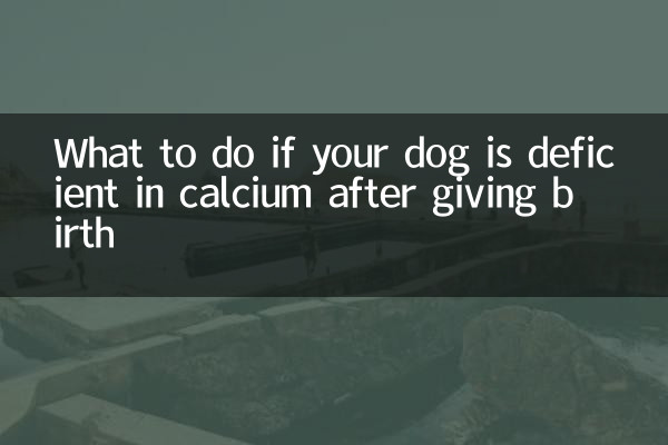 Qué hacer si tu perra tiene deficiencia de calcio después de dar a luz