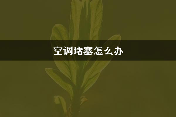 এয়ার কন্ডিশনার ব্লক হলে কি করবেন