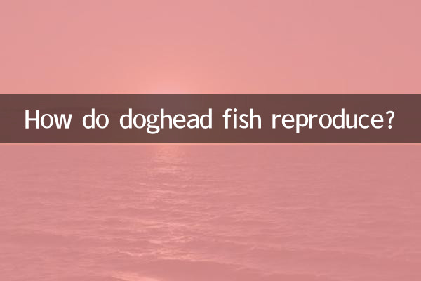 ماهی سگ سر چگونه تولید مثل می کند؟