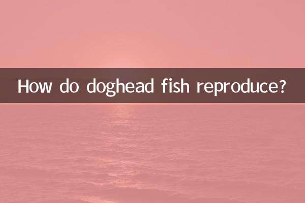 イヌヘッドフィッシュはどのように繁殖するのでしょうか？