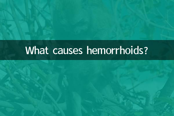 O que causa hemorróidas?