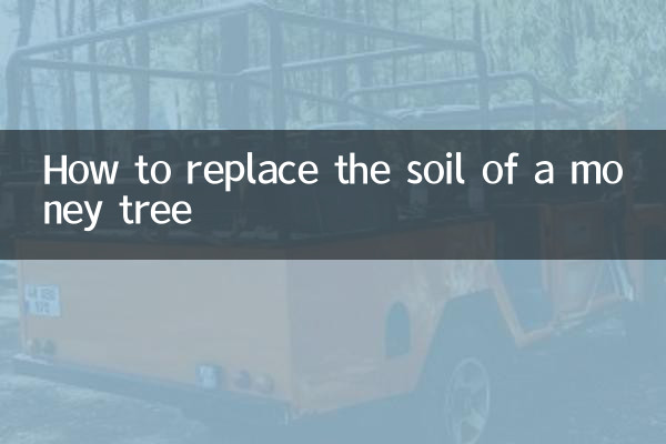 So ersetzen Sie den Boden eines Geldbaums