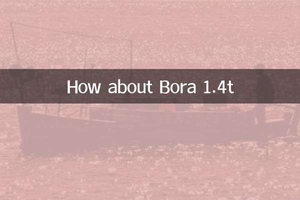 কিভাবে বোরা 1.4t