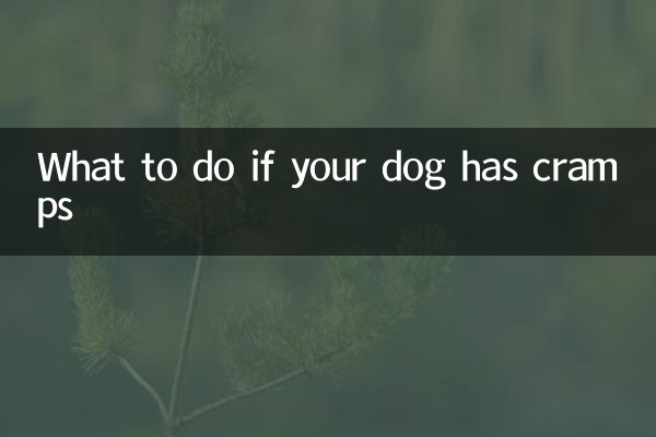 O que fazer se seu cachorro tiver cólicas