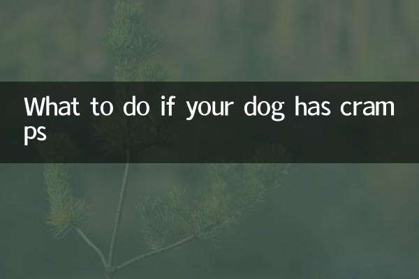 Was tun, wenn Ihr Hund Krämpfe hat?