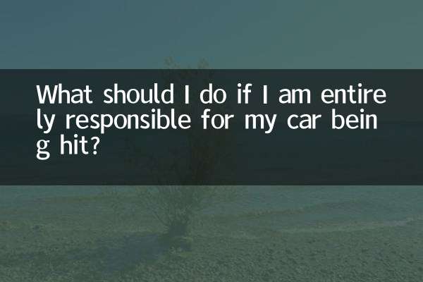 Que dois-je faire si je suis entièrement responsable de la collision de ma voiture ?