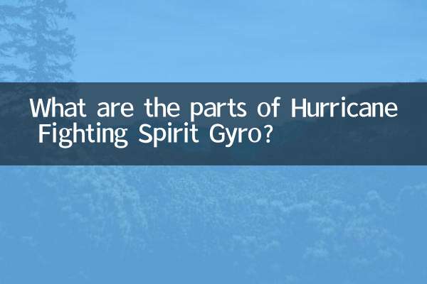 হারিকেন ফাইটিং স্পিরিট গাইরো এর অংশগুলো কি কি?