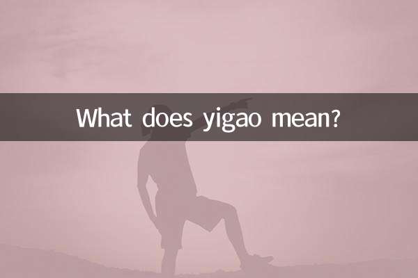 이가오은 무슨 뜻인가요?