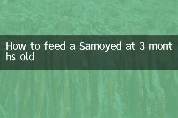 Cómo alimentar a un Samoyedo a los 3 meses