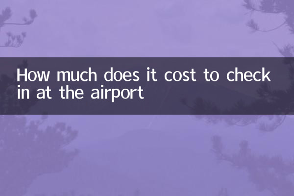 Wie viel kostet es, am Flughafen einzuchecken?