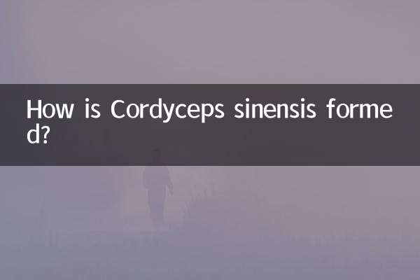 ¿Cómo se forma Cordyceps sinensis?