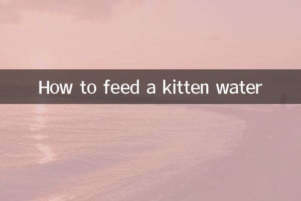 Como alimentar um gatinho com água