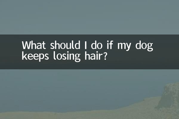 Was soll ich tun, wenn mein Hund ständig Haare verliert?