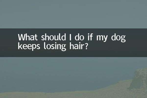 Was soll ich tun, wenn mein Hund ständig Haare verliert?