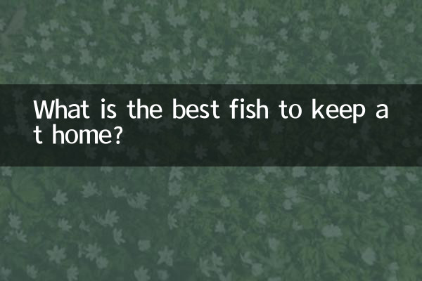 Qual é o melhor peixe para manter em casa?