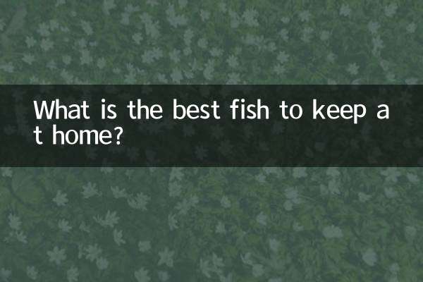 Qual é o melhor peixe para manter em casa?