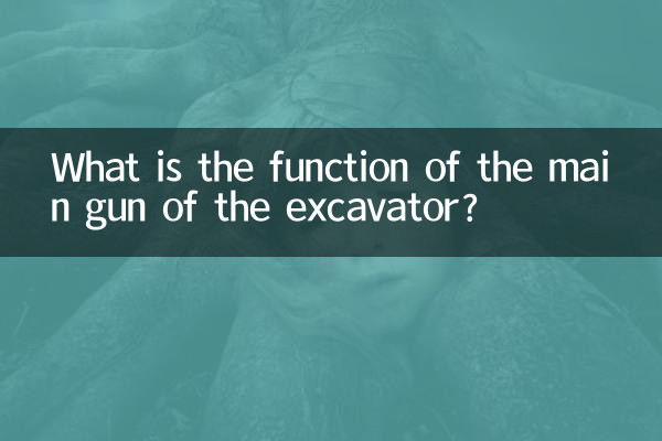 What is the function of the main gun of the excavator?