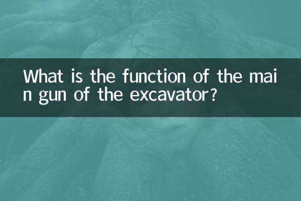 What is the function of the main gun of the excavator?