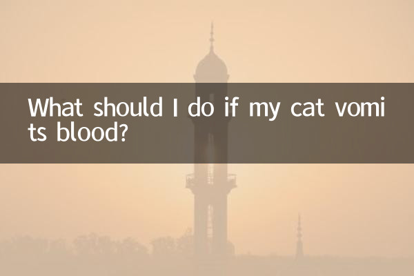 ¿Qué debo hacer si mi gato vomita sangre?