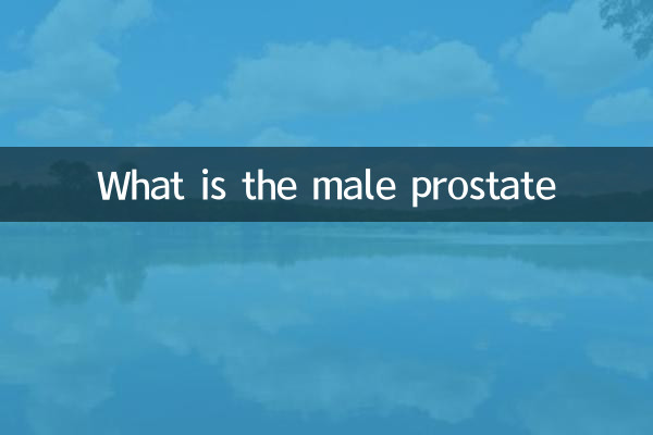 পুরুষের প্রস্টেট কি