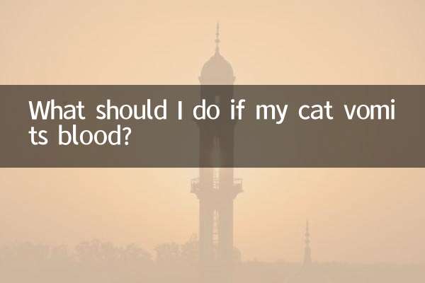 اگر گربه من خون استفراغ کرد چه باید بکنم؟