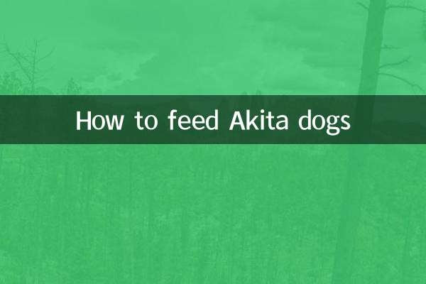 Como alimentar cães Akita