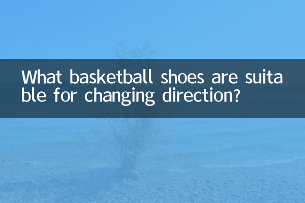 什么篮球鞋适合变向