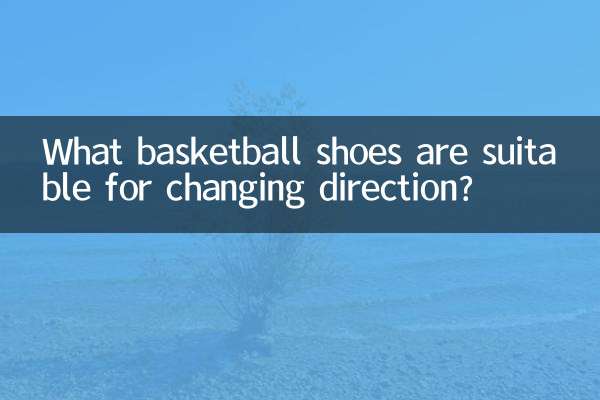 什么篮球鞋适合变向