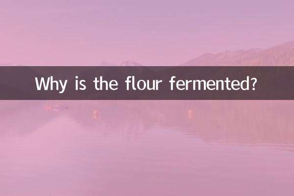 Warum wird das Mehl fermentiert?