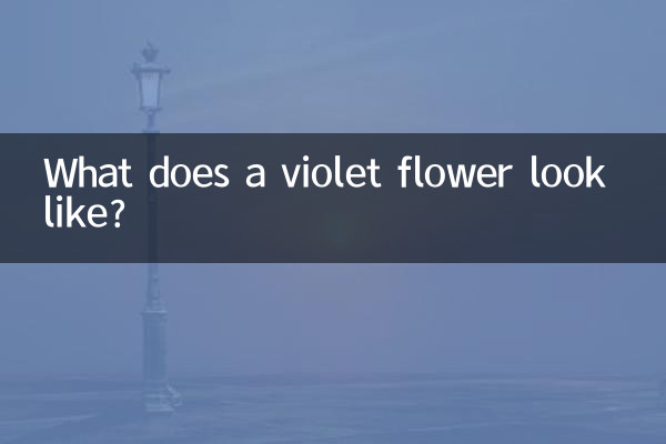 كيف تبدو زهرة البنفسج؟