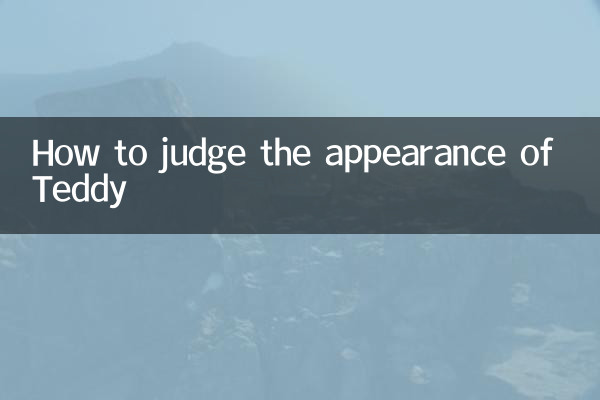 Как оценить внешний вид Тедди