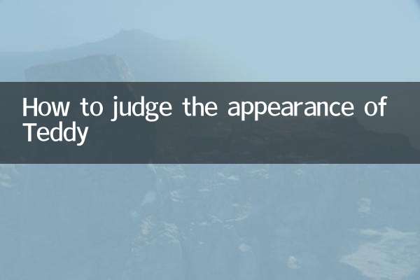 Как оценить внешний вид Тедди