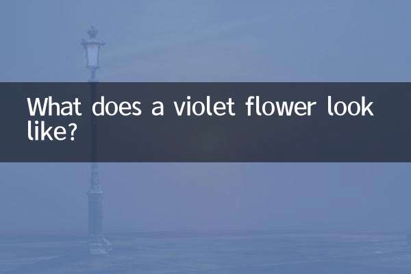 گل بنفشه چه شکلی است؟