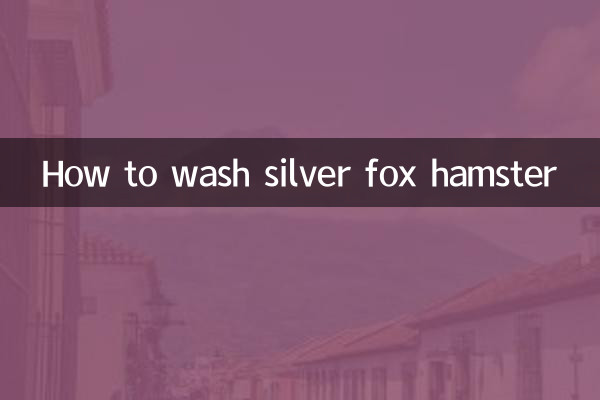 은여우햄스터 세탁방법