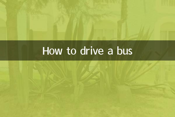 How to drive a bus