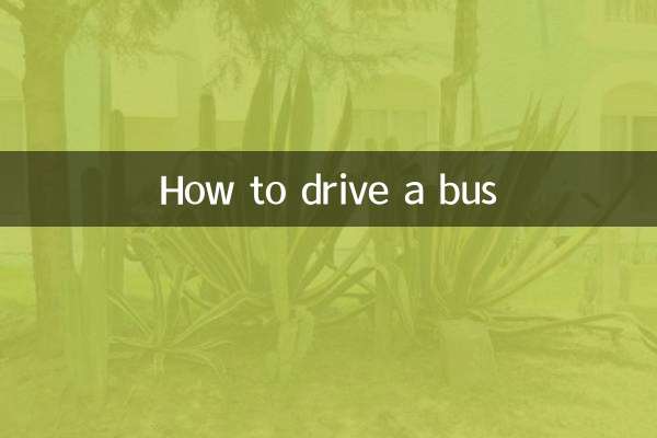 How to drive a bus