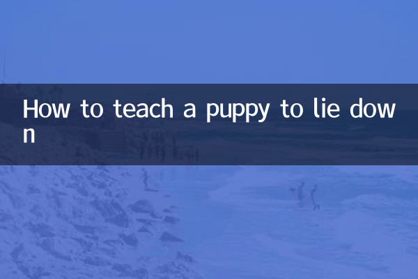 怎麼教小狗躺下