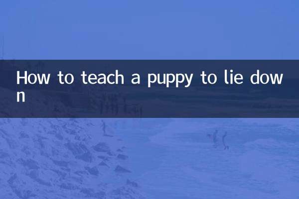 怎麼教小狗躺下