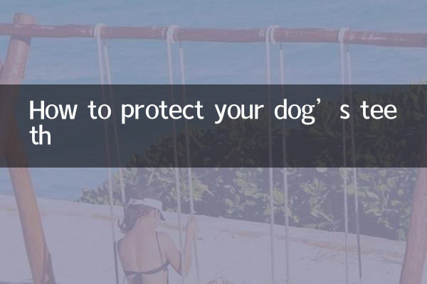 Come proteggere i denti del tuo cane