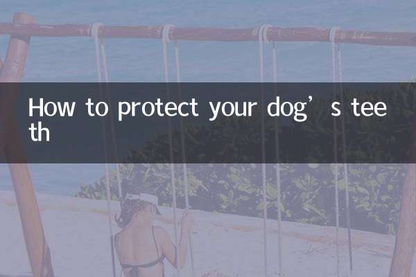 How to protect your dog’s teeth
