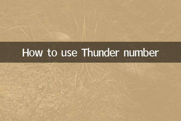 썬더넘버 이용방법