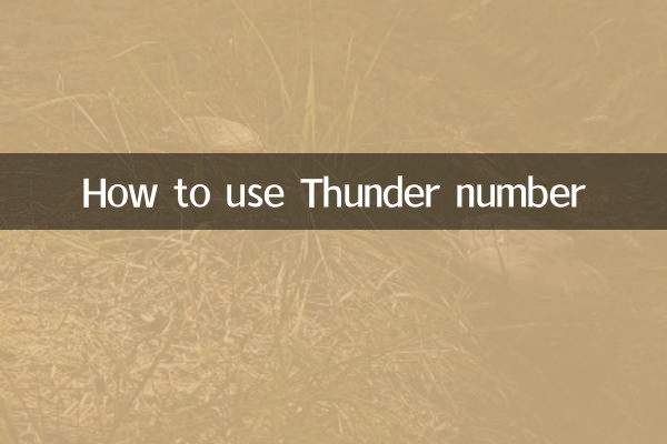 썬더넘버 이용방법