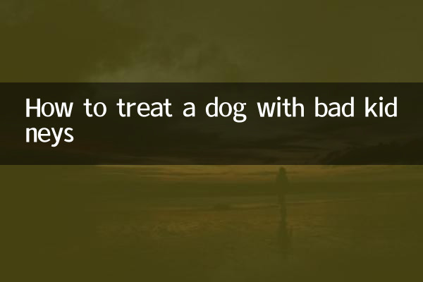 খারাপ কিডনি সঙ্গে একটি কুকুর চিকিত্সা কিভাবে