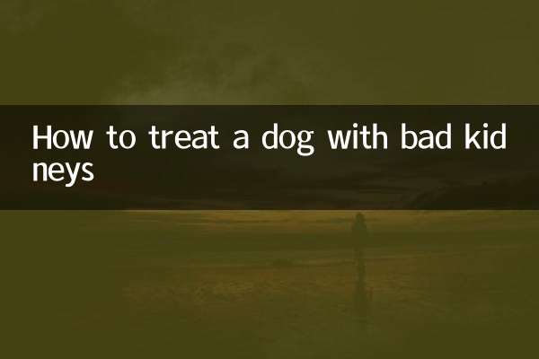 খারাপ কিডনি সঙ্গে একটি কুকুর চিকিত্সা কিভাবে
