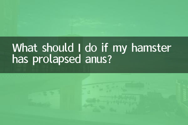 仓鼠脱肛了怎么办